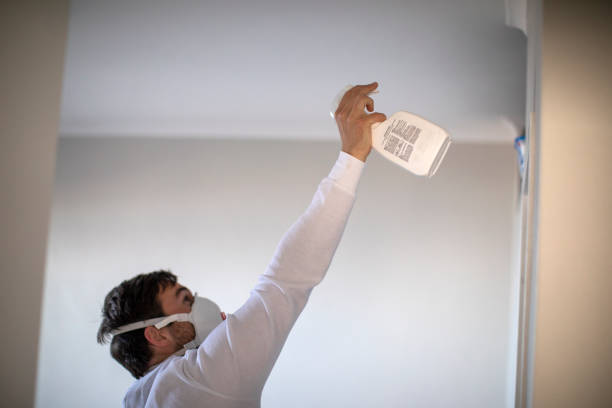 Best Home Mold Removal  in Allen, TX
