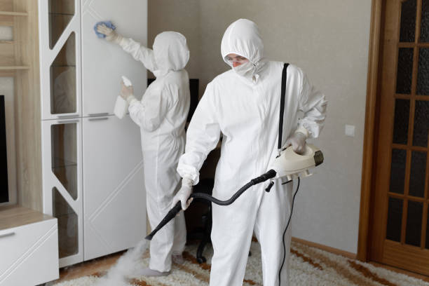 Best Mold Cleaning Services  in Allen, TX